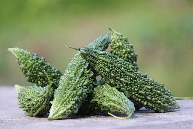 Bitter gourd