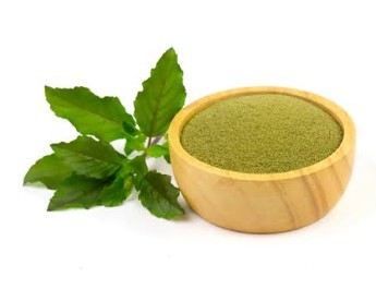 Basil