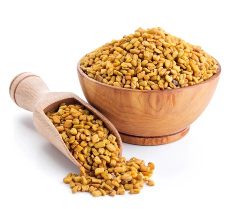 Fenugreek